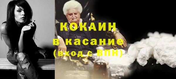 прущие грибы Алексин