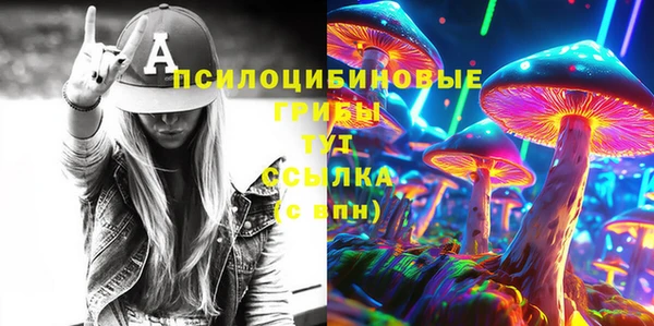 тгк Алзамай