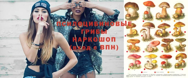 прущие грибы Алексин