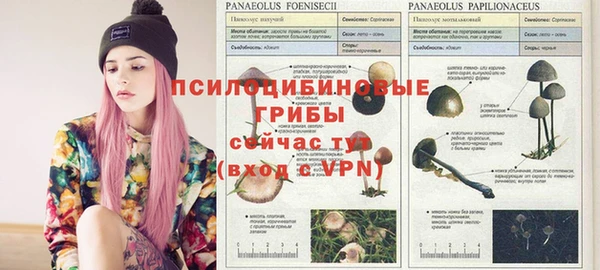 тгк Алзамай