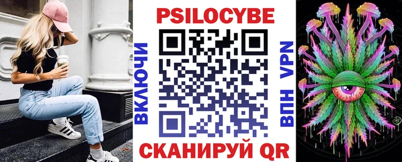 Псилоцибиновые грибы Psilocybe  где можно купить   Кяхта 